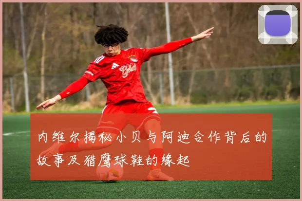 内维尔揭秘小贝与阿迪合作背后的故事及猎鹰球鞋的缘起