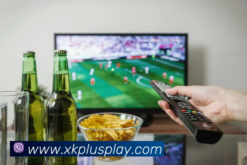 星空体育平台生态图